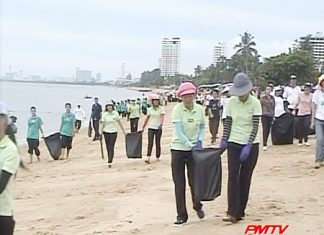 Hundreds take part in the beach clean up